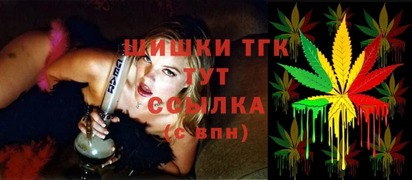 apvp Алексин