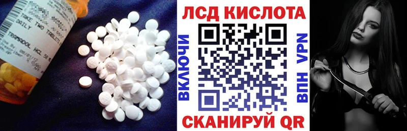 закладки  Вихоревка  Лсд 25 экстази кислота 