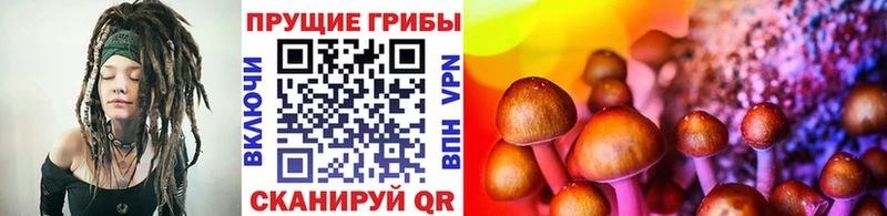 сайты даркнета формула  Вихоревка  Псилоцибиновые грибы GOLDEN TEACHER 